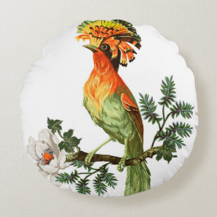 Bird of Paradise and exotic flowers on a white bac Round Cushion