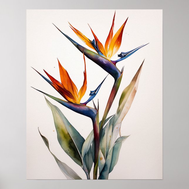 Bird Of Paradise Art Print Poster (Front)