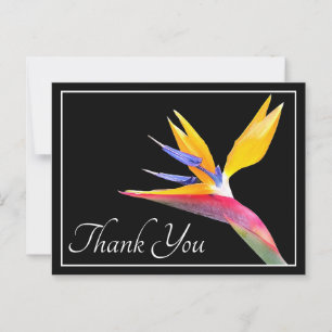 Bird Of Paradise Black Background Thank You Postcard