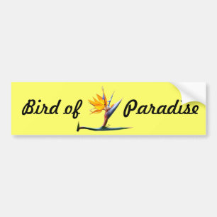 Bird of Paradise Bumper Sticker