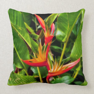 Bird of Paradise by Madeline Ellis Cushion