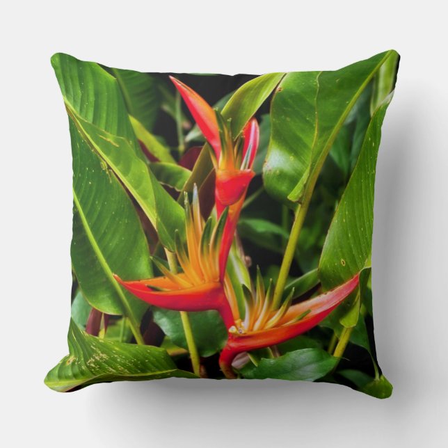 Bird of Paradise by Madeline Ellis Cushion (Front)