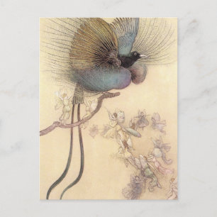 Bird of Paradise by Warwick Goble Postcard
