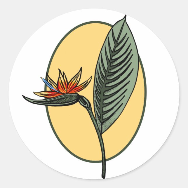 Bird of Paradise Classic Round Sticker (Front)