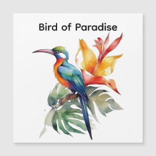 Bird of Paradise, colourful phantasy bird 'n flowe Magnetic Invitation