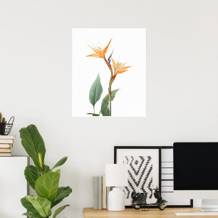 Bird of paradise drawing (flower) poster
