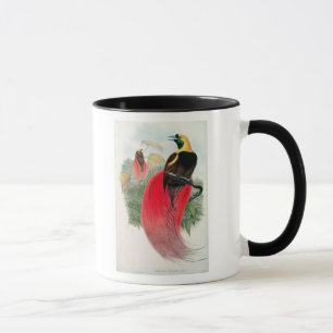 Bird of Paradise, engraved by T. Walter Mug