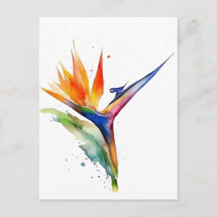 Bird of paradise exotic flower bright watercolor postcard