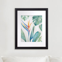 Bird of Paradise Florida Watercolors