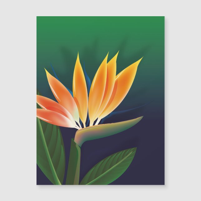 Bird of paradise flower (Front)