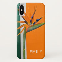 Bird of Paradise flower