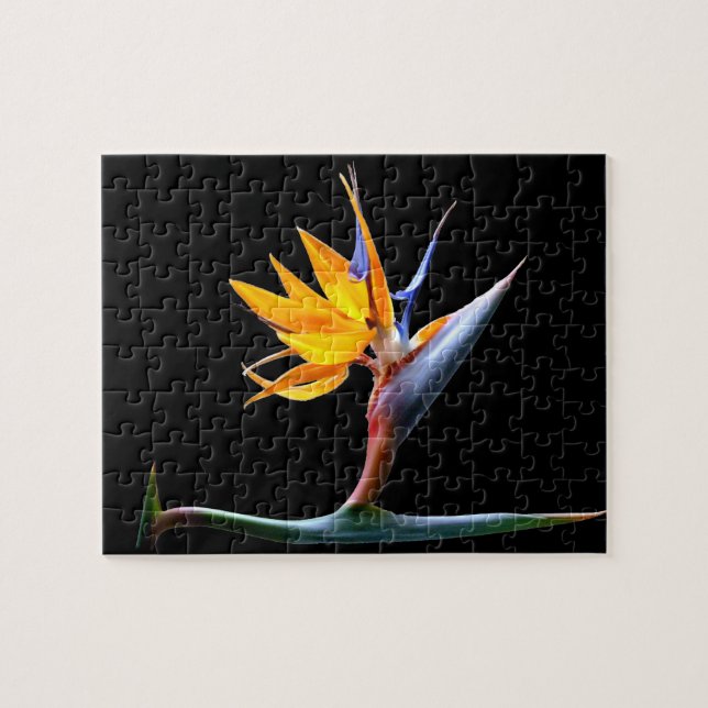 Bird of Paradise Flower Jigsaw Puzzle (Horizontal)