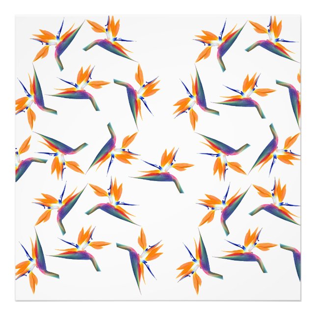 Bird of paradise flower pattern photo print (Front)