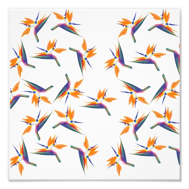 Bird of paradise flower pattern photo print (Front)