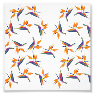 Bird of paradise flower pattern photo print