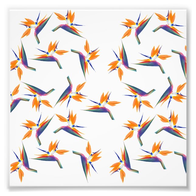Bird of paradise flower pattern photo print (Front)
