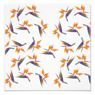Bird of paradise flower pattern photo print