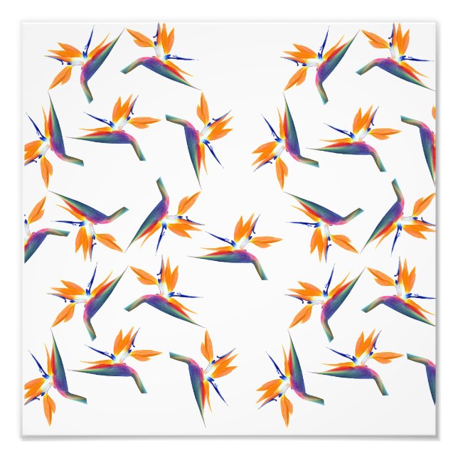 Bird of paradise flower pattern photo print (Front)