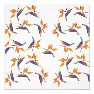 Bird of paradise flower pattern photo print