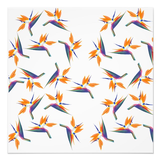 Bird of paradise flower pattern photo print (Front)