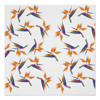 Bird of paradise flower pattern poster