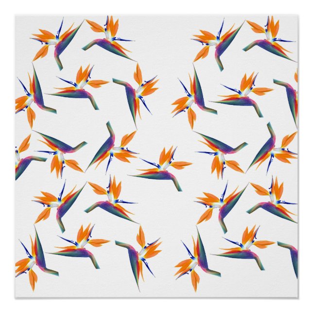 Bird of paradise flower pattern poster (Front)
