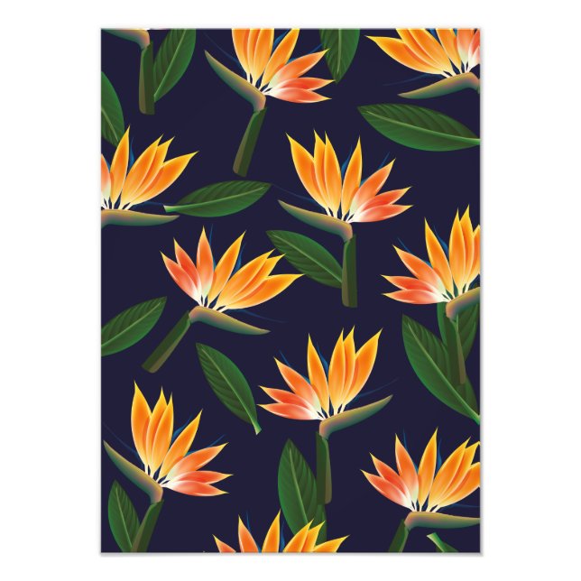 Bird of paradise flower photo print (Front)