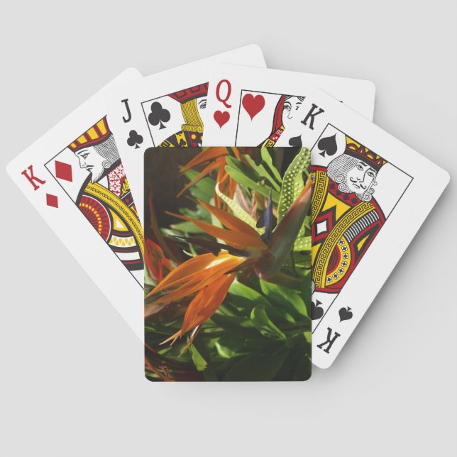 Bird of Paradise Flower Picture Playing Cards (Back)