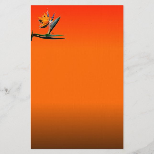 Bird of Paradise Flower Stationery (Front)