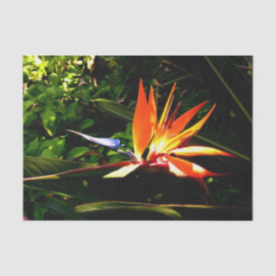 Bird of Paradise Flower Tissue Paper