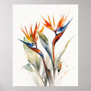 Bird Of Paradise Flowers Art Print Poster