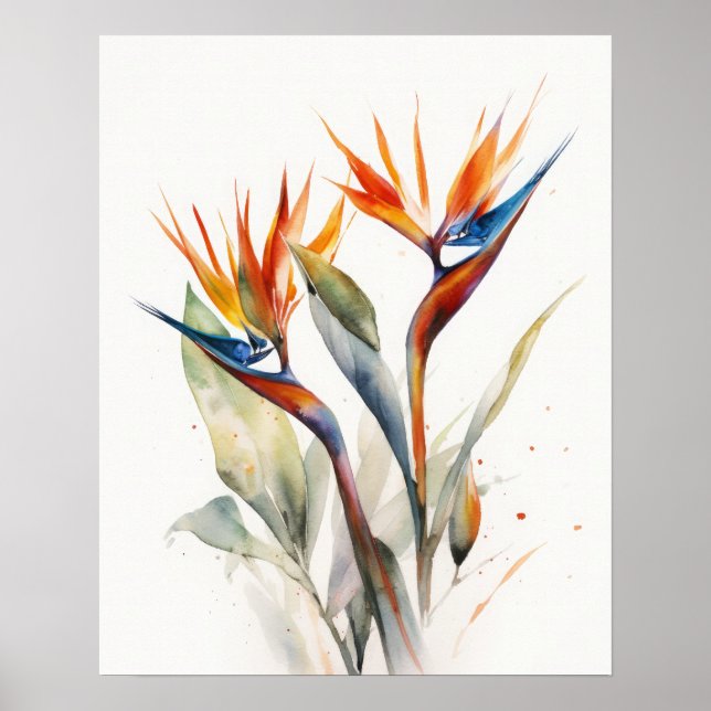 Bird Of Paradise Flowers Art Print Poster (Front)