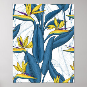 Bird of paradise flowers on white poster