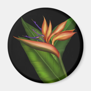 Bird Of Paradise Full Magnet