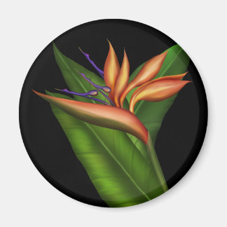 Bird Of Paradise Full Magnet