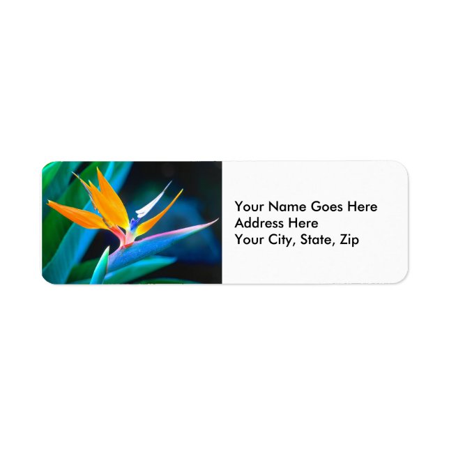 Bird Of Paradise (Hawaii) Return Address Label (Front)