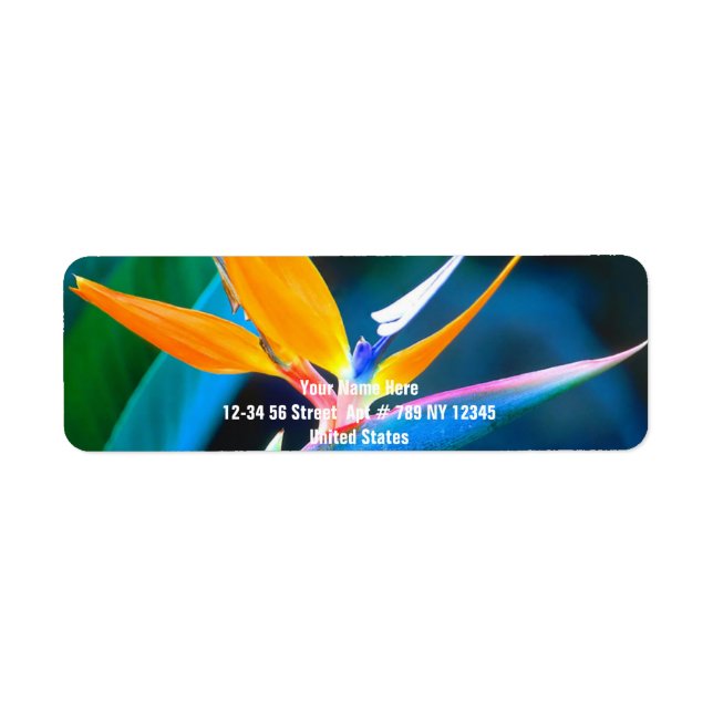 Bird Of Paradise (Hawaii) Return Address Label (Front)