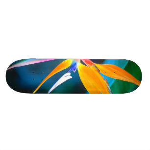 bird of paradise hawaii skateboard