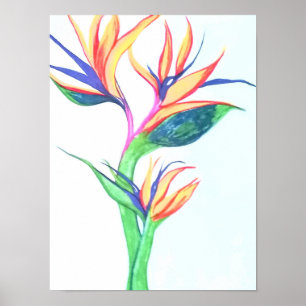 Bird of Paradise I Poster