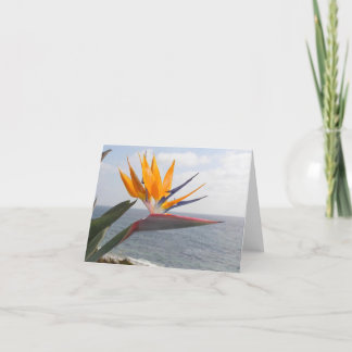 Bird of Paradise in paradise Card