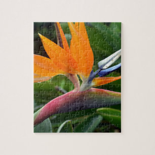 Bird Of Paradise Jigsaw Puzzle