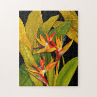 Bird of Paradise