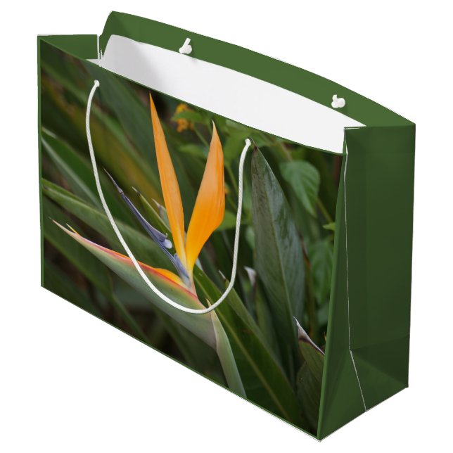 Bird of Paradise Large Gift Bag (Back Angled)