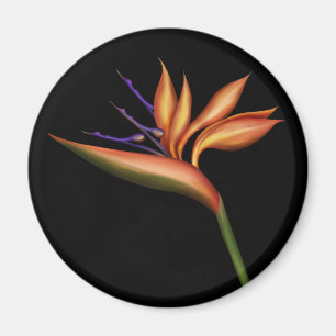 Bird Of Paradise Magnet