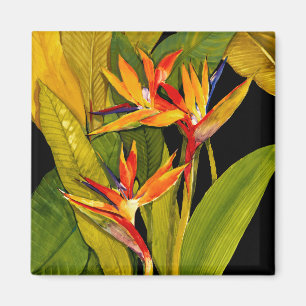 Bird of Paradise Magnet