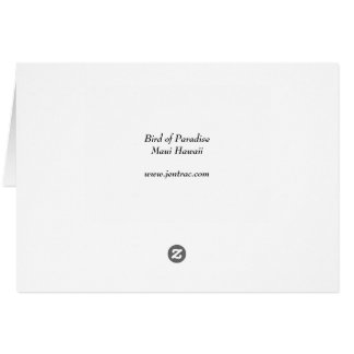 Bird of Paradise - Maui Hawaii