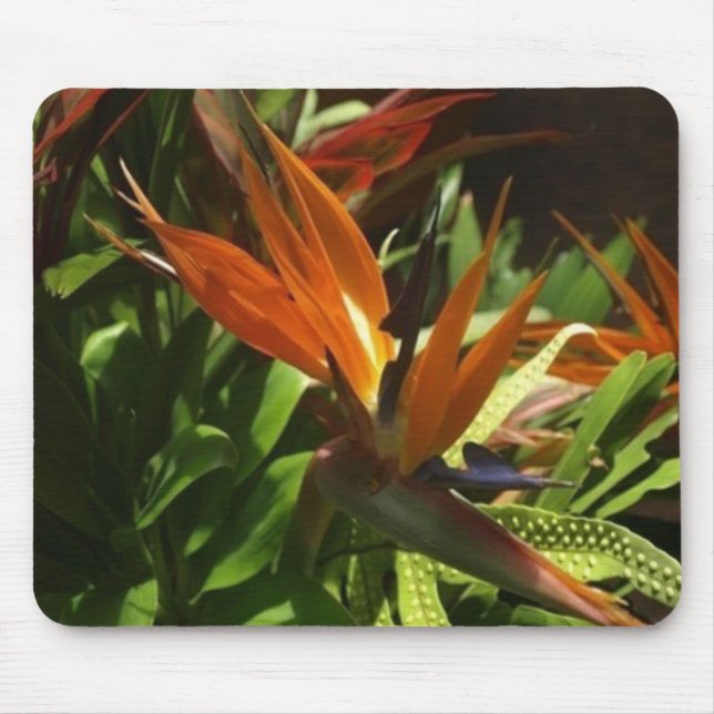 Bird of paradise mouse pad (Front)