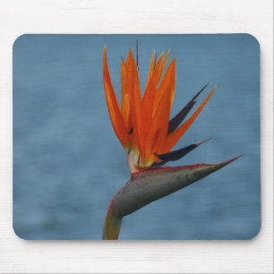 bird of paradise mousepad