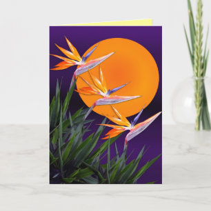Bird of paradise note Card