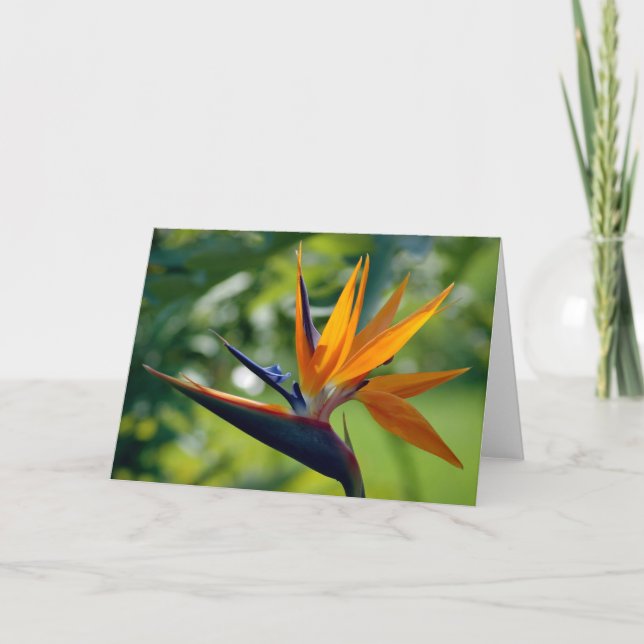 Bird Of Paradise Note Card (Front)